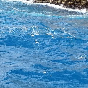 Meet your Posher, Patty